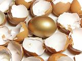 gold and eggshell