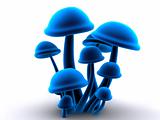 magic mushrooms