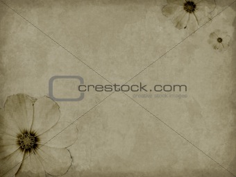 old paper with floral elements
