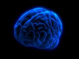 blue glowing brain
