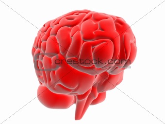 red brain