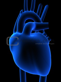 3d heart