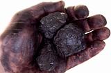 Pieces of coal in dirty palm