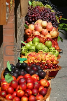 Fruit Fruit Fruit
