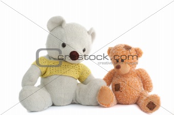 Toys (Two teddy bear)