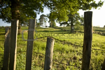 Rustic Countryside Fence