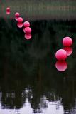 pink buoys