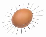 egg with needle