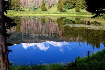 Reflections in a Lake
