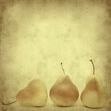 textured old paper background with pears