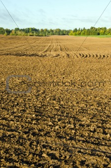Plow agricultural fields autumn background ground