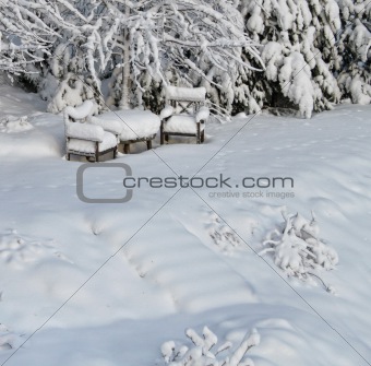 Snowy chairs in winter