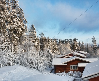 Log houses in snowy winter scenery
