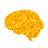 human brain, yellow marrow, vector abstract background