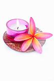 Tropical Plumeria Frangipani with Aramotherapy candle for spa an