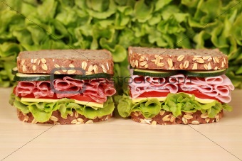 Sandwiches with salami and ham