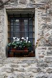 Old Window And Flowers