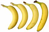 Four bananas isolated on white background.