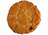 Large tasty homemade ginger biscuit cookie isolated over white.