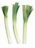 Three Welsh green leeks, isolated on a white background.