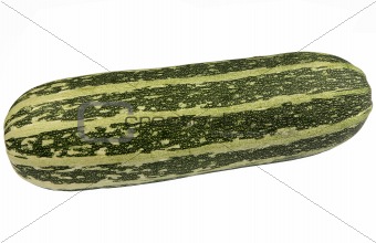 Large green bush marrow isolated on a white background.
