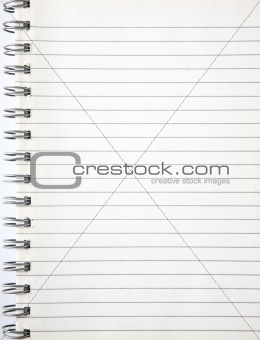 A blank page of an old notebook.