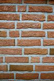 close-up of a brick wall