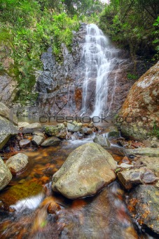 Deep forest waterfall 