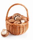 fresh mushrooms in a basket