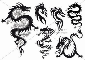dragon tattoo, vector
