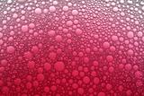 Graduated pink bubbles background.