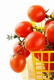 Tomatoes Cherry fresh ripe on the white background