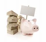 Pink Piggy Bank with Stacks of Hundreds of Dollars and Blank Sign Isolated on a White Background.