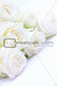  Beautiful white roses