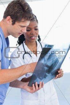 Portrait of serious doctors looking at a of X-ray