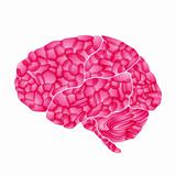 human brain, pink dream, vector abstract background