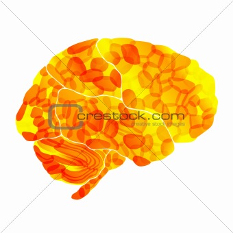 human brain, solar thoughts, vector abstract background