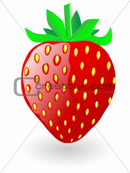 Strawberry. Vector illustration.