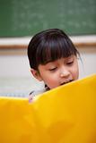Portrait of a schoolgirl reading