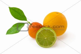 Orange, lime and mandarin isolated on white
