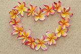 Frangipani/plimeria flower frame in shape of heart on sand