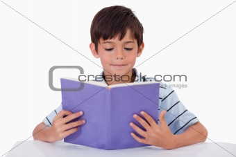 Focused boy reading a book