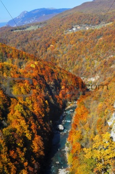 Tara River Gorge