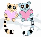 Lovers lemur