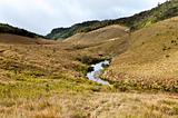 Forest, savanna, and water at Horton Plains