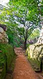 footpath in a park near mount Sigiriya, Sri Lanka (Ceylon).