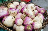 Turnips for Sale
