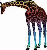 giraffe - vector abstract rainbow