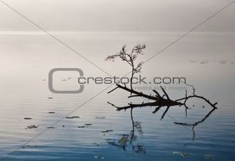 Stilness of the lake