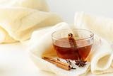 Tea with spices - cinnamon, a carnation and an anise